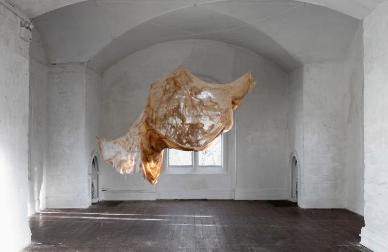 Work by Lilia Bakanova