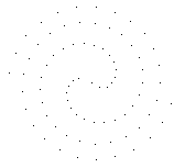 Seed head produced from 0.48 turns between seeds