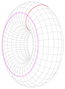 Torus