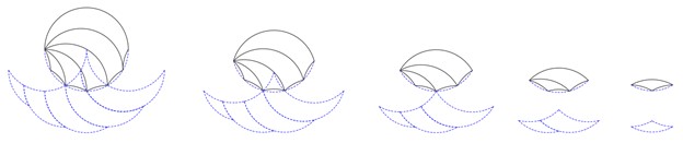 lenses and phantom sets of case B
