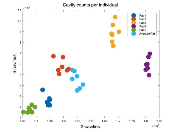 Clustering of topological parameters for biological samples