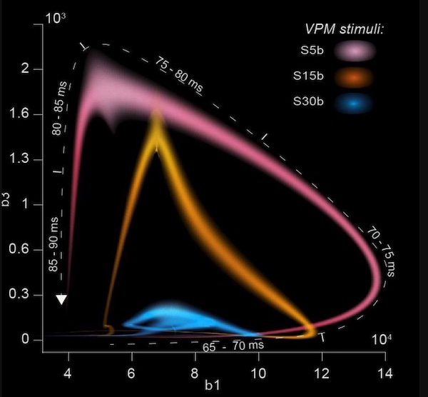 Clustering of topological parameters for biological samples