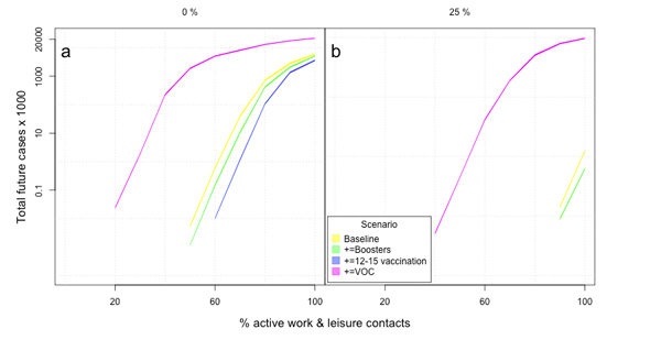 A schematic of the Warwick model