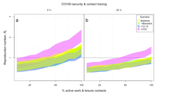 A schematic of the Warwick model