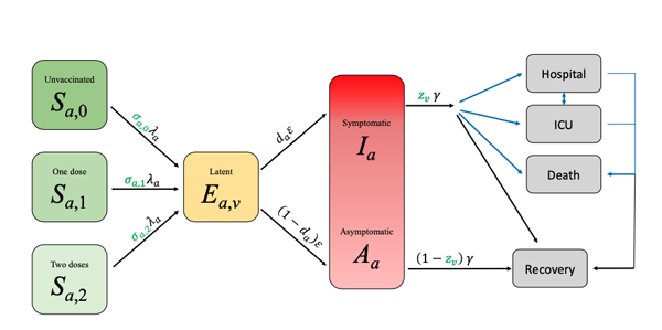 A schematic of the Warwick model