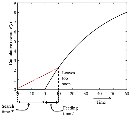 The black curve in these figures is the reward function $E(t)$.  The slope of this curve is the reward per minute in the past minute: instantaneous reward rate $r(t)$. 