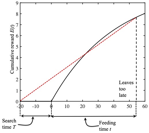 The black curve in these figures is the reward function $E(t)$.  The slope of this curve is the reward per minute in the past minute: instantaneous reward rate $r(t)$. 