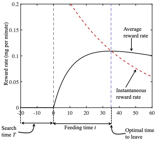 As a geometric confirmation, the instantaneous reward rate $r(t)$ is plotted as a red dashed curve in the figure above, and the average running reward  rate $R(t)$ is plotted as a black solid curve.