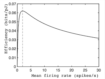 How energy efficiency varies with firing rate for neurons