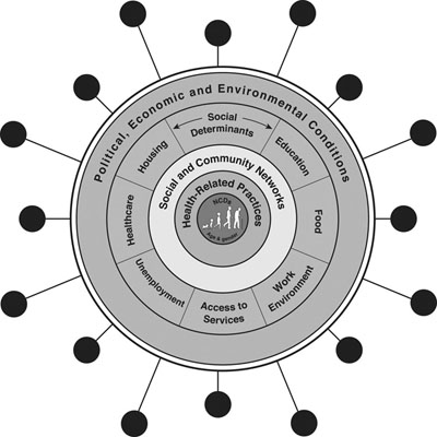 Schematic of a syndemic