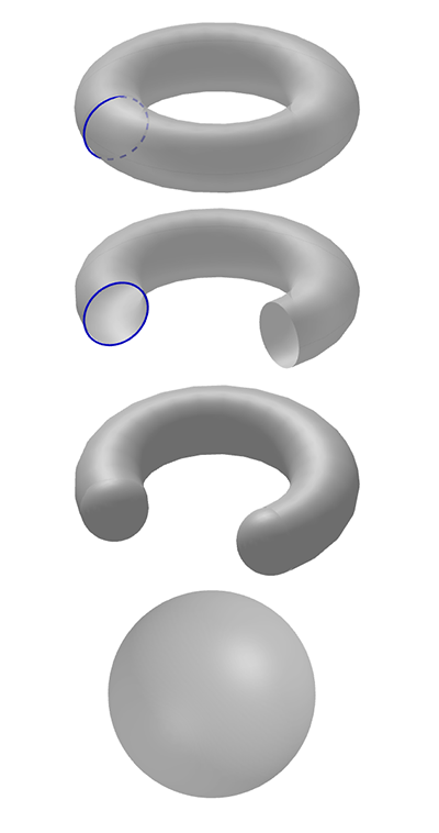 Turning a torus into a sphere with surgey