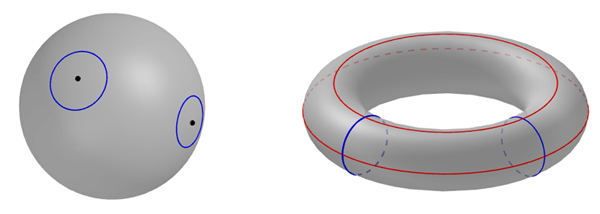 sphere and torus