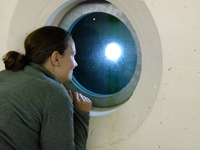 In the bunker in Switzerland