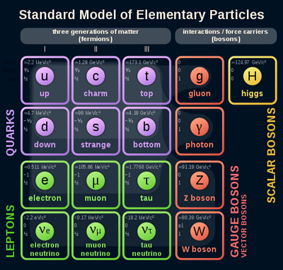 The standard model of particle physics