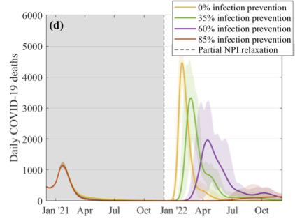 daily number of COVID-19 deaths  if restrictions were suddenly lifted in December