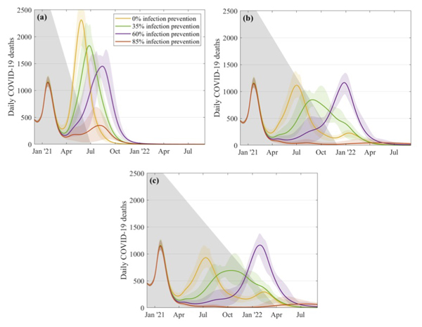 daily number of COVID-19 deaths  if restrictions are relaxed over a 5 month period, a 10 month period, and a 14 month period