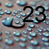 door 23
