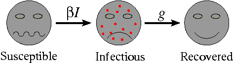 Movement rates between classes of the SIR model