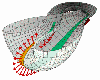 Animated Klein bottle