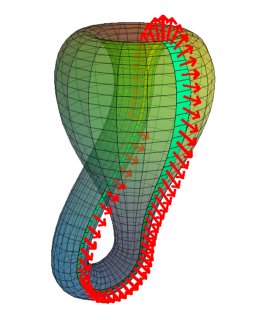 View the <a href="./kleinBottle_anim.html">animated version</a> (997K) or explore the <a href="./applets/appletKleinWithBand.html">java applet</a>
