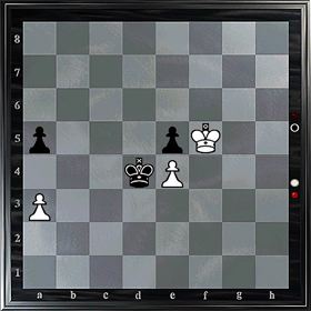 A fuzzy position in the endgame