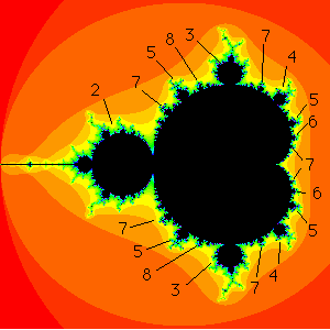 The periods of the bulbs