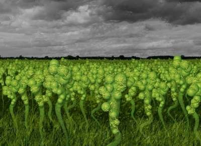 Supply and demand curves