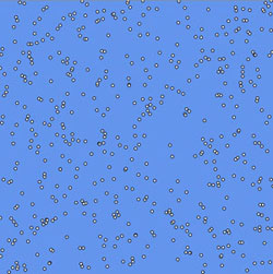 Model of birds flocking