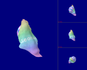 A cloth falling over a deformed sphere