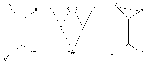 An example of a tree