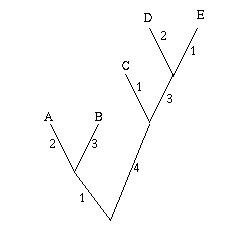 An tree realising the matrix.
