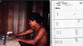 Pirahã tribe member doing an arithmic test