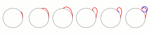 diagrams showing plant's growth