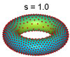 torus with s=1.0
