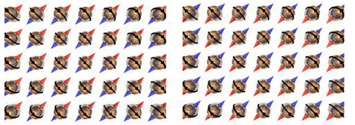 Illustration of ground state degeneracy in a magnet.