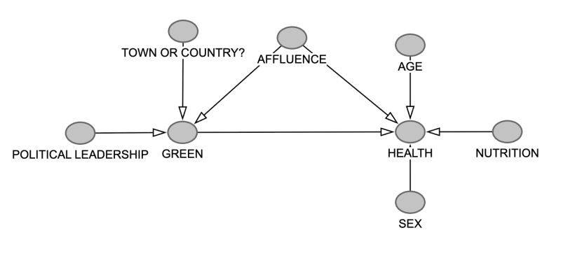 Complex dag using the elements of the previous, now with political leadership, town or country pointing at green. And age, nutrition and sex pointing to health.