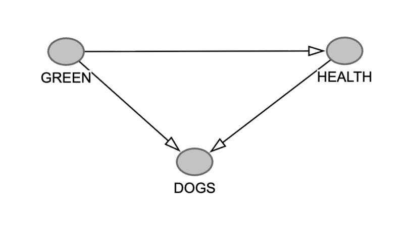 Triangle formed by green leading to health and dogs. There is also an arrow going from health to dogs.
