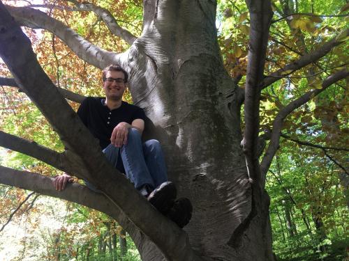 Jeremy Hahn in a tree