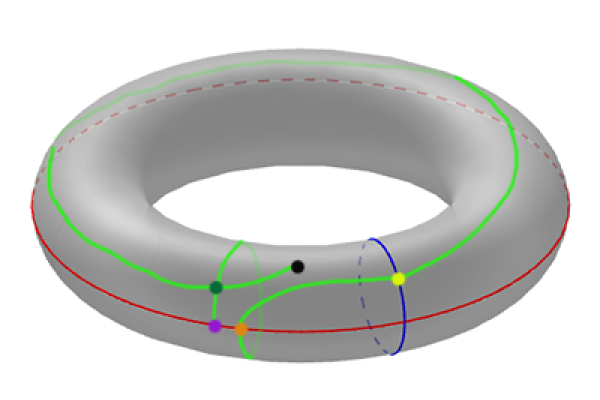 Torus