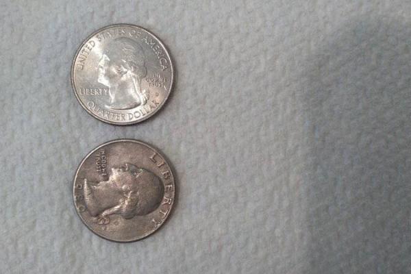 Two nickles