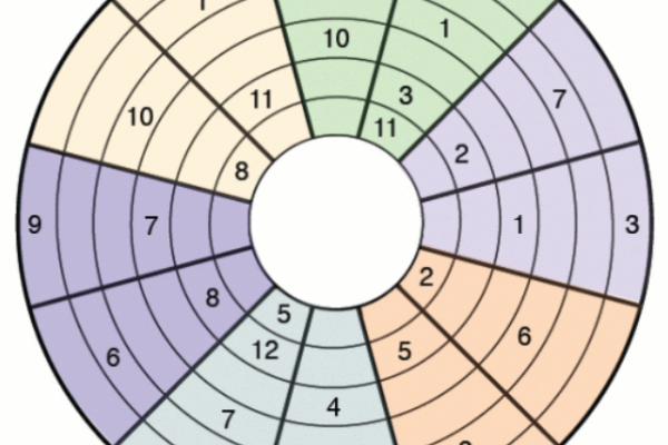 Colourful Circular Sudoku Puzzle