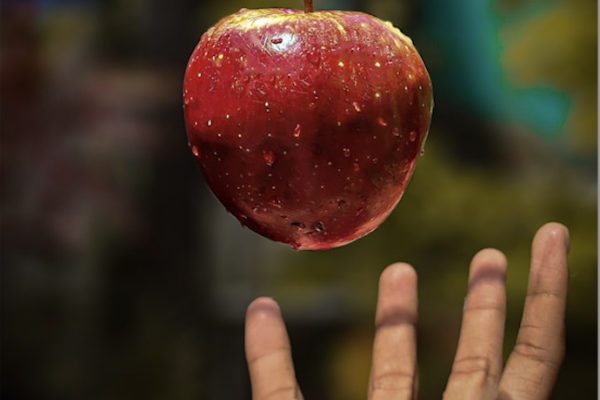 Apple falling into an outstretched hand