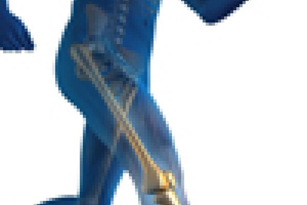 Image of a person running showing the leg bones