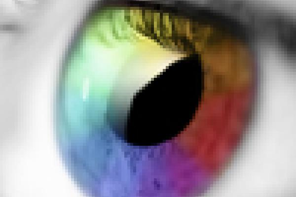 Eye with multicoloured iris