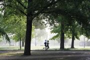 Two people running in a park