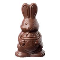 Chocolate Bunny