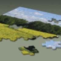 Jigsaw puzzle