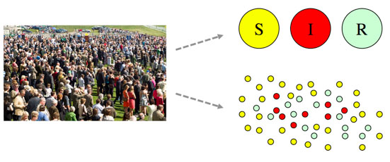 SIR versus individual models.